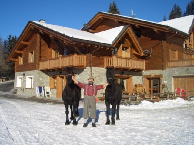 הוילה ואלדיסוטו Agriturismo Chalet Caribona מראה חיצוני תמונה
